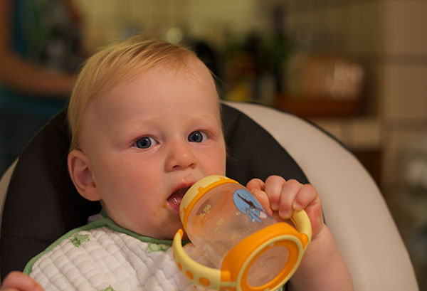 In Search of the Perfect Sippy Cup - Little Fish