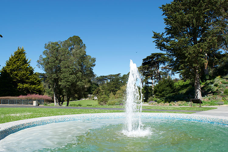 Botanical-Gardens-Fountain