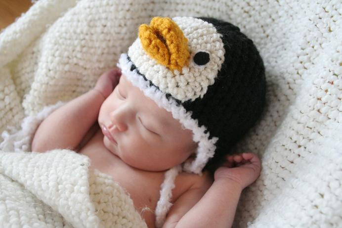 Penguin hat