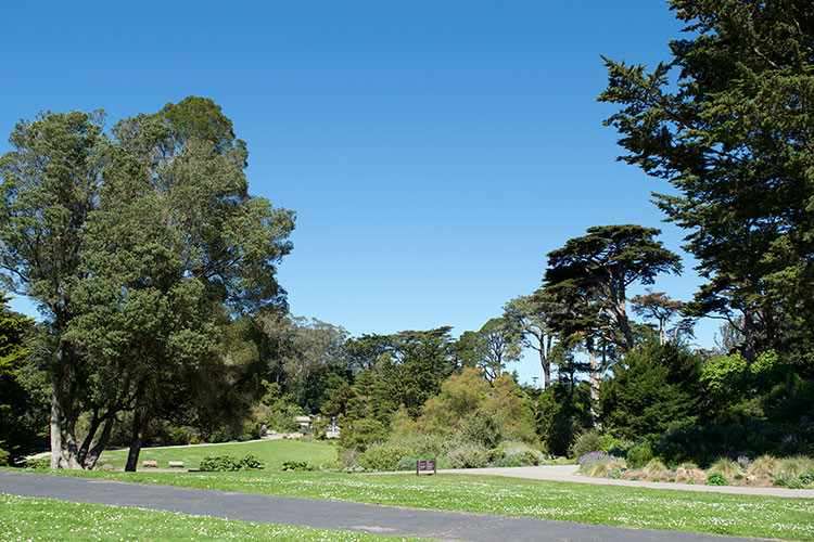 Running-in-the-park