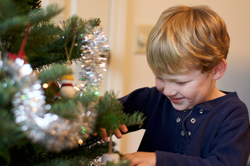 Choosing-Our-First-Real-Christmas-Tree