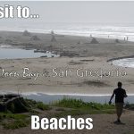 A Trip to Half Moon Bay and San Gregorio Beaches