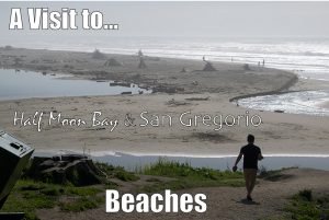 A Trip to Half Moon Bay and San Gregorio Beaches