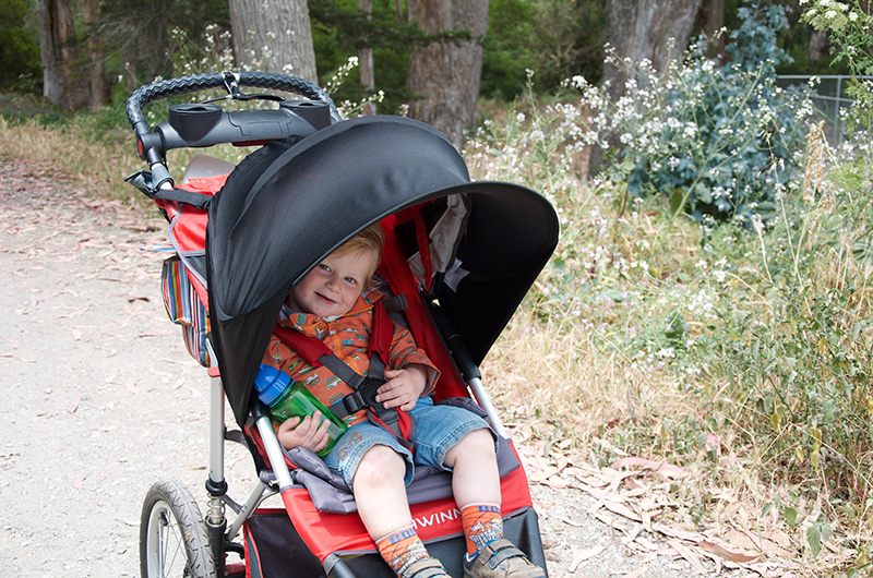 Schwinn hotsell stroller review