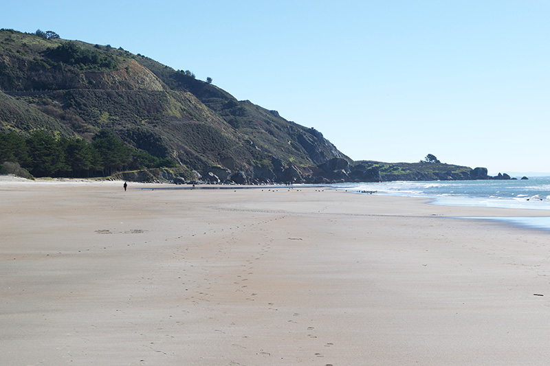 A Visit to Stinson Beach in Marin - Little Fish