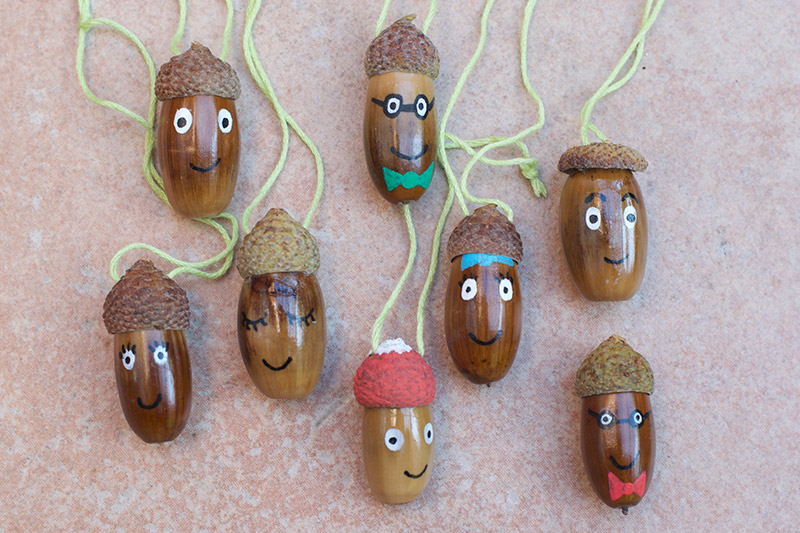 Painted Acorn People Decorations - Little Fish